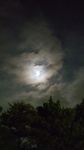 DSC_3821.JPG
