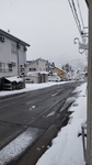 DSC_4241.JPG
