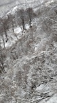 DSC_4237.JPG