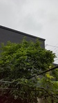 DSC_4898.JPG
