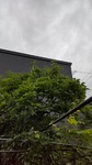 DSC_4899.JPG