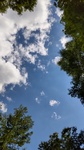 DSC_4937.JPG