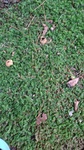 DSC_4973.JPG