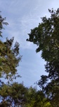 DSC_4945.JPG