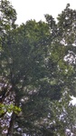 DSC_4971.JPG