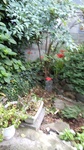DSC_5006.JPG