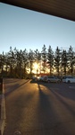 DSC_5225.JPG