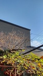 DSC_5194.JPG