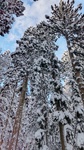 DSC_5318.JPG