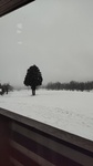 DSC_0113.JPG