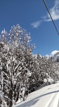 DSC_5494.JPG
