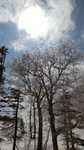 DSC_5890.JPG