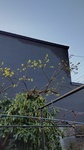 DSC_5895.JPG