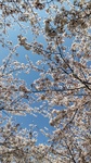 DSC_5958.JPG
