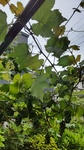 DSC_6494.JPG