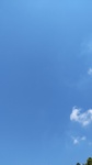 DSC_6496.JPG